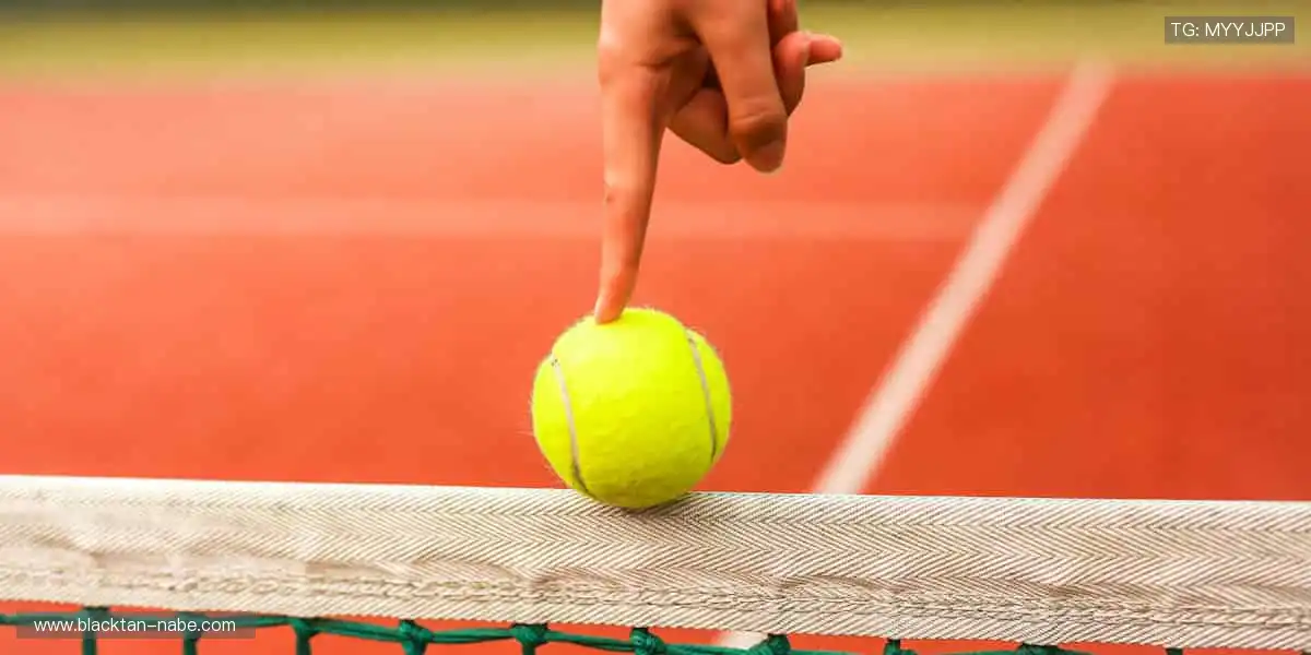 🎾 运动装备,品质之选!从赛场到生活,陪伴你的每一步👟